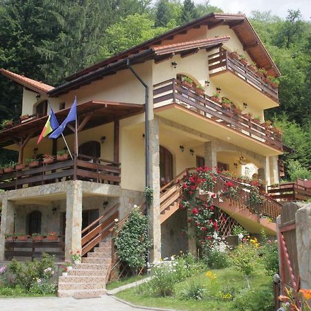 Casa Anca Boutique Hotel Alsótömös Kültér fotó