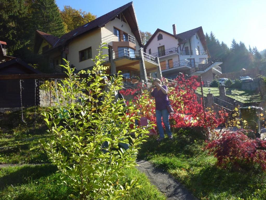 Casa Anca Boutique Hotel Alsótömös Kültér fotó